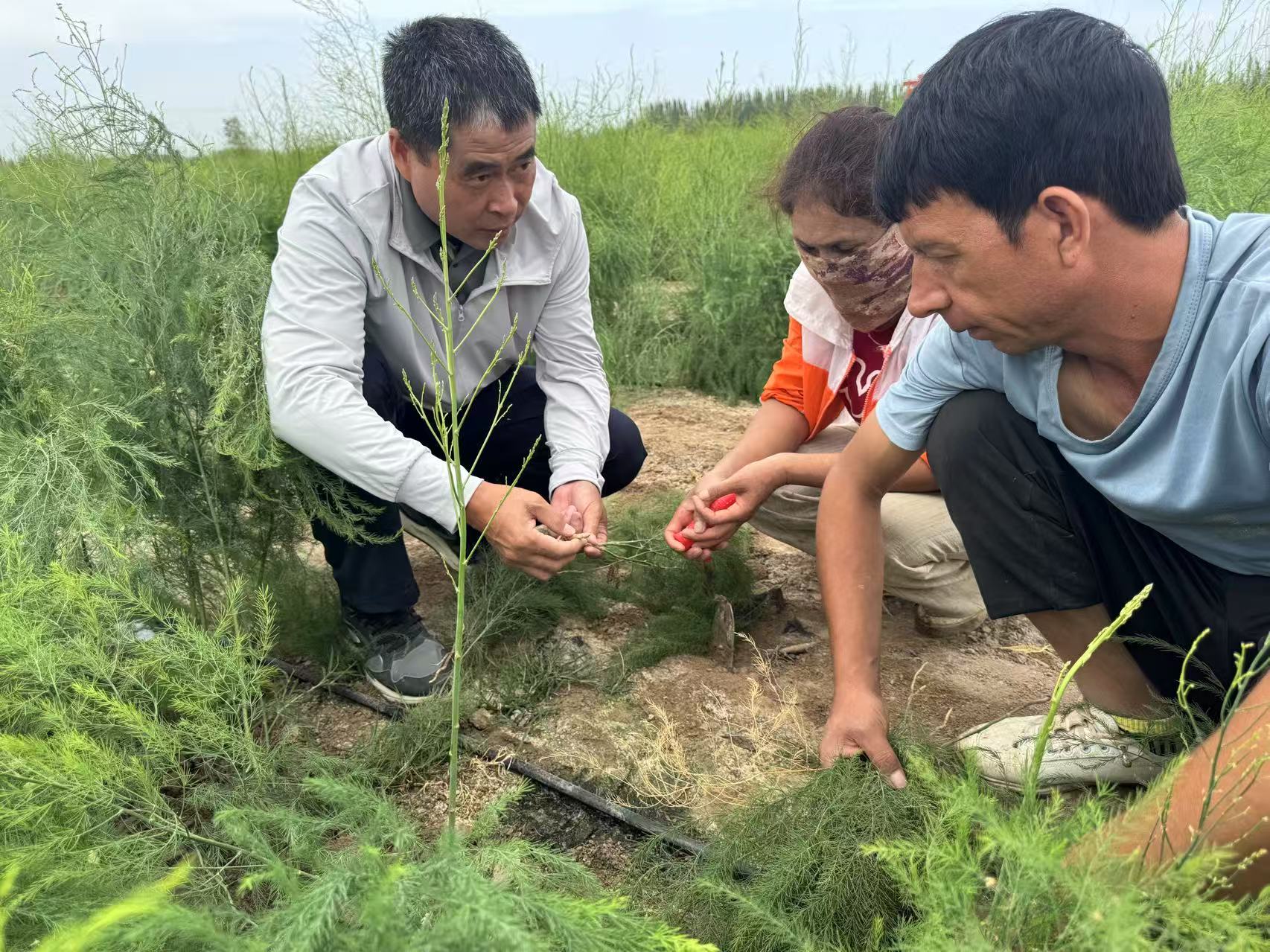 微信图片_2025-07-25_134535_973.jpg